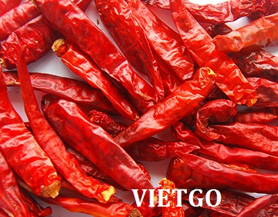 ớt việt nam xuất khẩu